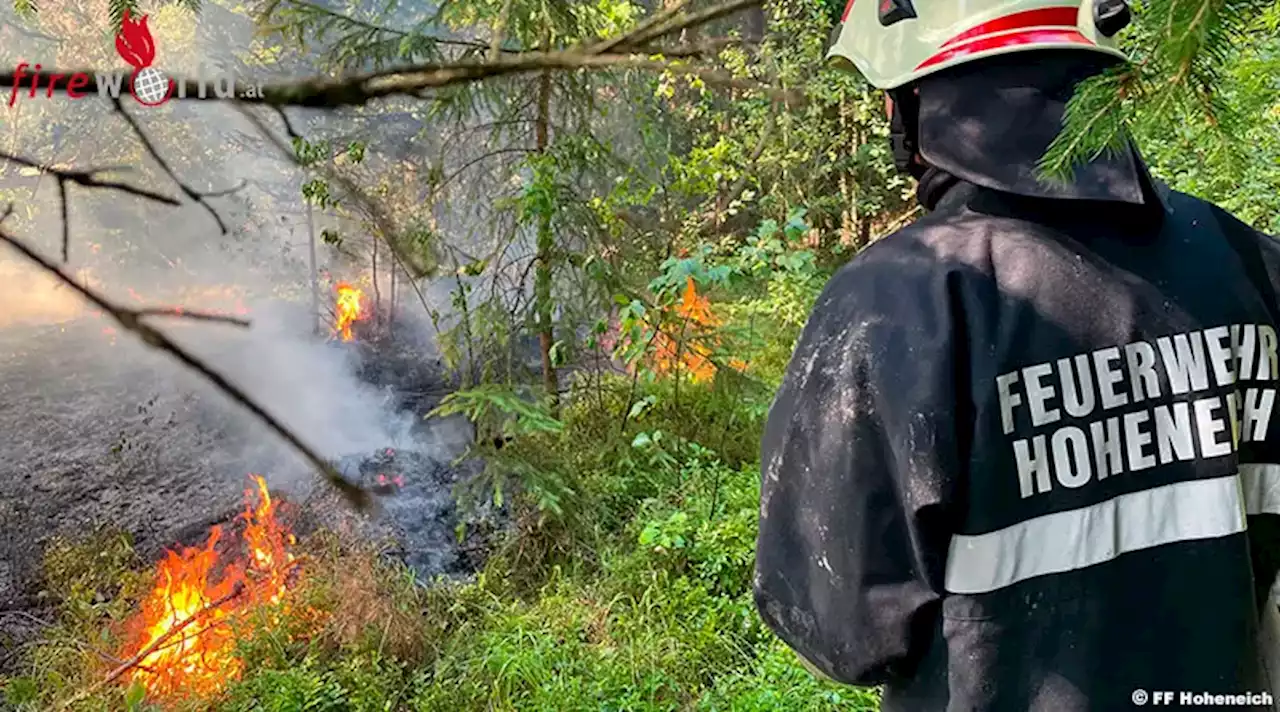 Nö: Bahndammbrand entwickelt sich zu Waldbrand