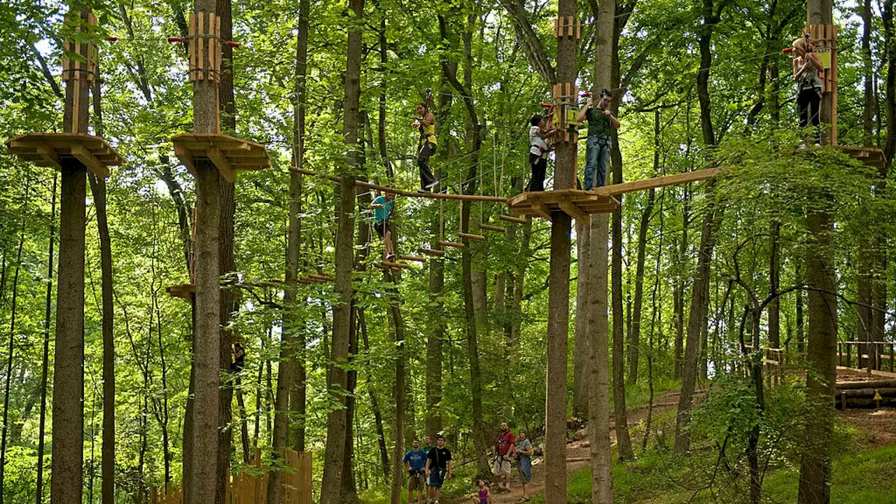 Texas TreeVentures: Go on an adventure, aerial course among trees in The Woodlands