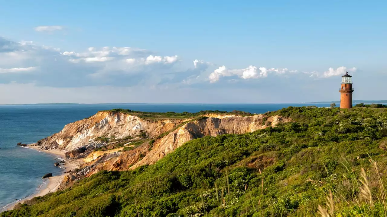 Passenger takes control of plane when pilot has medical emergency, crash lands in Martha's Vineyard