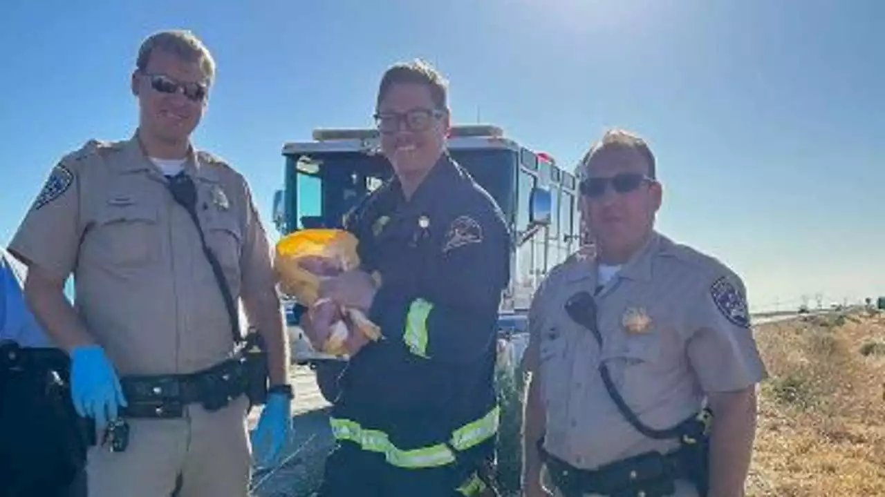 California Highway Patrol helps deliver baby girl on rural road