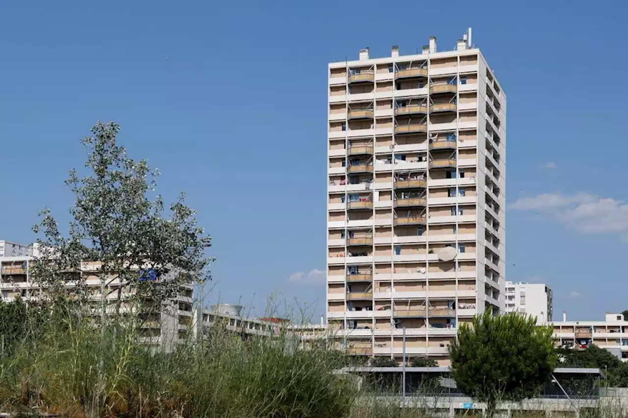 Fusillade à Marseille : quatre suspects interpellés dans la cité de la Busserine