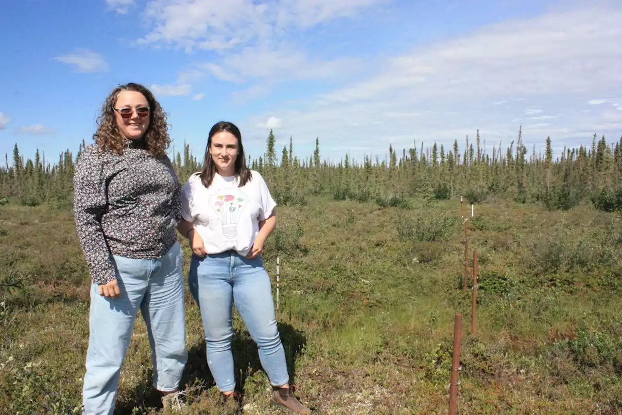 Researchers study how the degradation of permafrost will impact arctic communities