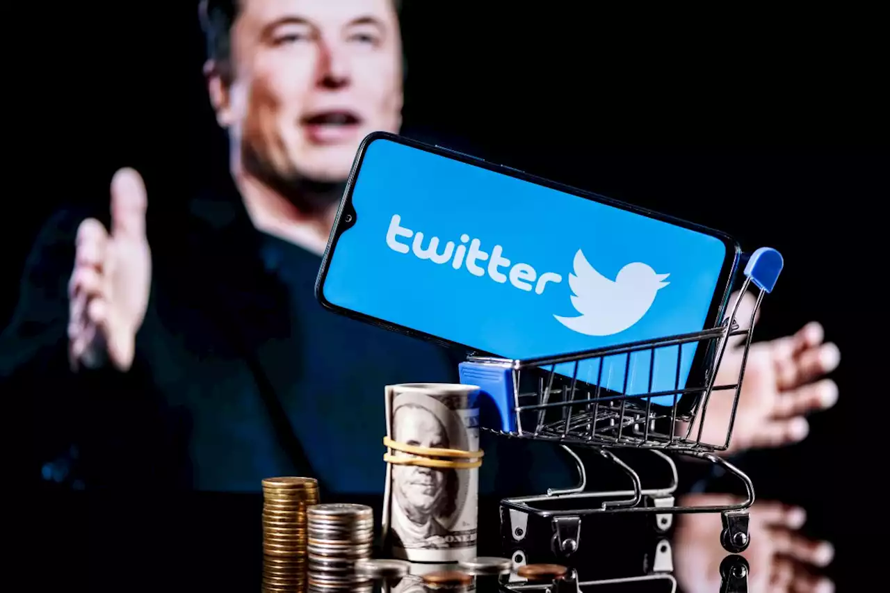 Elon Musk: Twitters Werbeeinnahmen halbiert