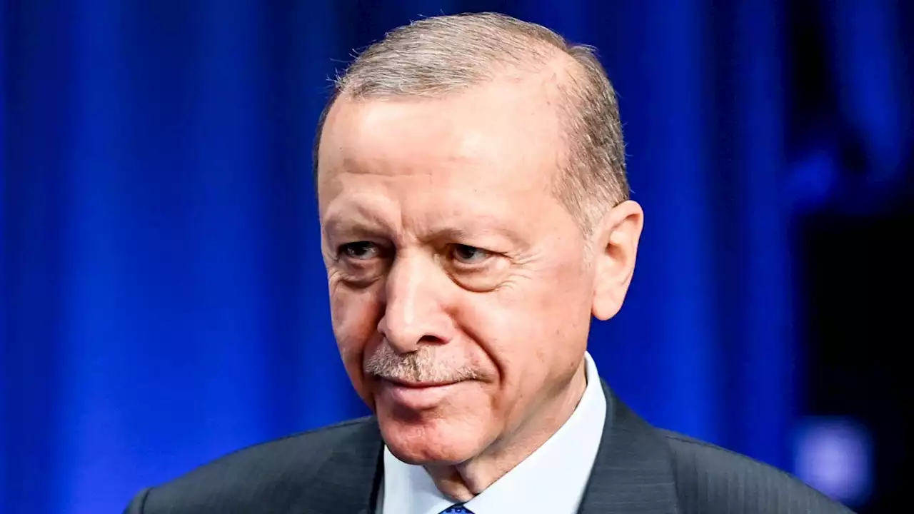 Erdoğan, il pendolo e il bottino. Per la Svezia nella Nato, il gioco turco non è finito (di M. Giustino)