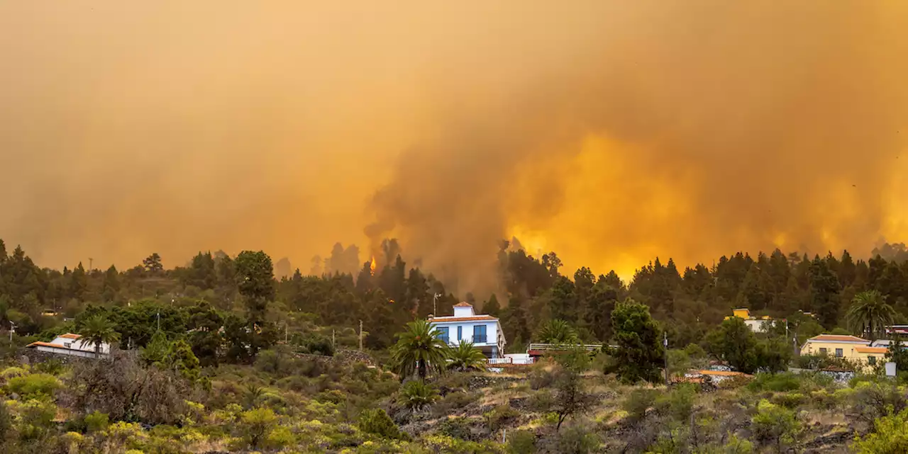 A La Palma, nelle isole Canarie, più di 4mila persone sono state evacuate per un grande incendio boschivo - Il Post