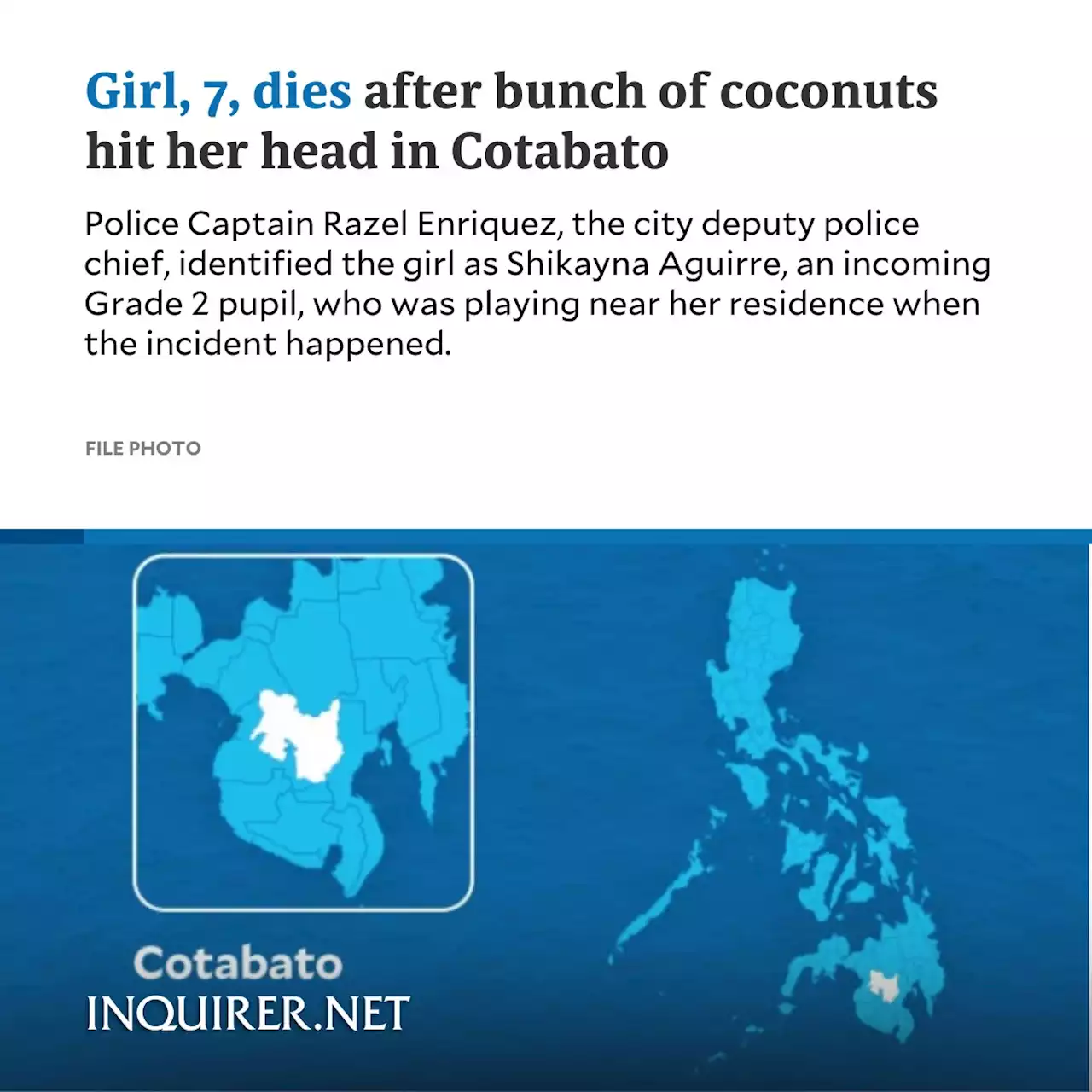 Girl, 7, dies after bunch of coconuts hit her head in Cotabato