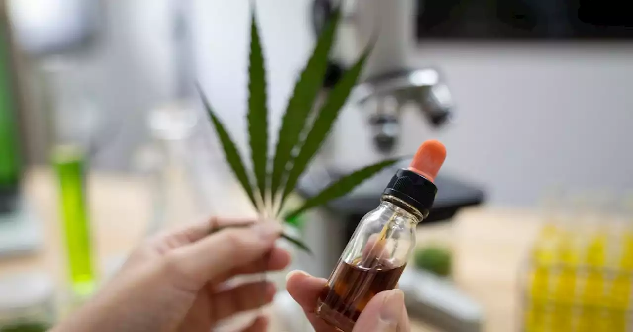 3,000 people hospitalised in Ireland amid warning over cannabis products