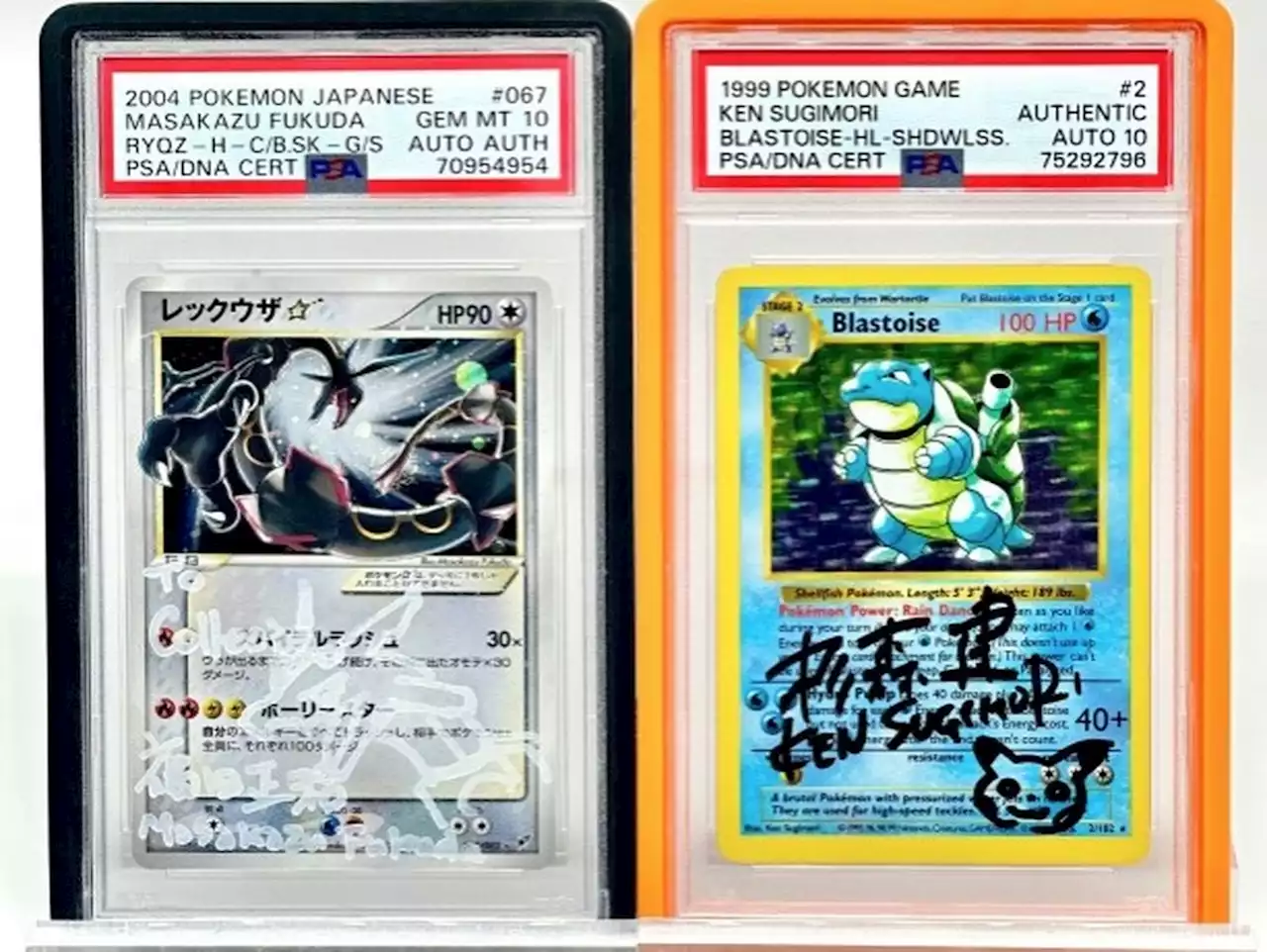 Americano larga emprego estável de consultor para viver de negociar cartas Pokémon