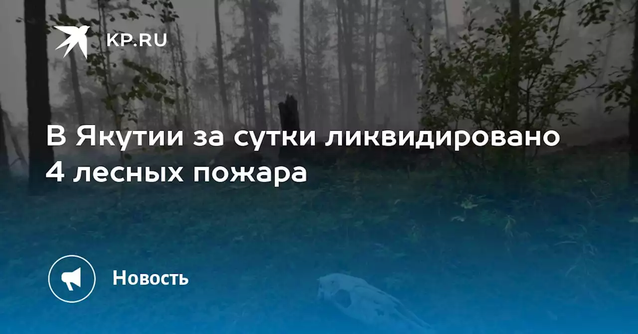 В Якутии за сутки ликвидировано 4 лесных пожара