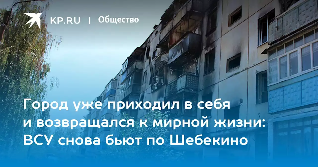 Город уже приходил в себя и возвращался к мирной жизни: ВСУ снова бьют по Шебекино