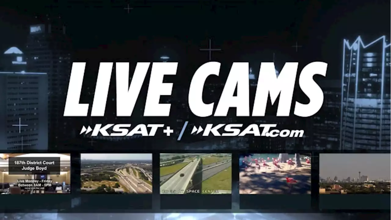 Watch free 24-hour KSAT livestreams at airport, San Antonio Zoo, courthouse, skyline and more