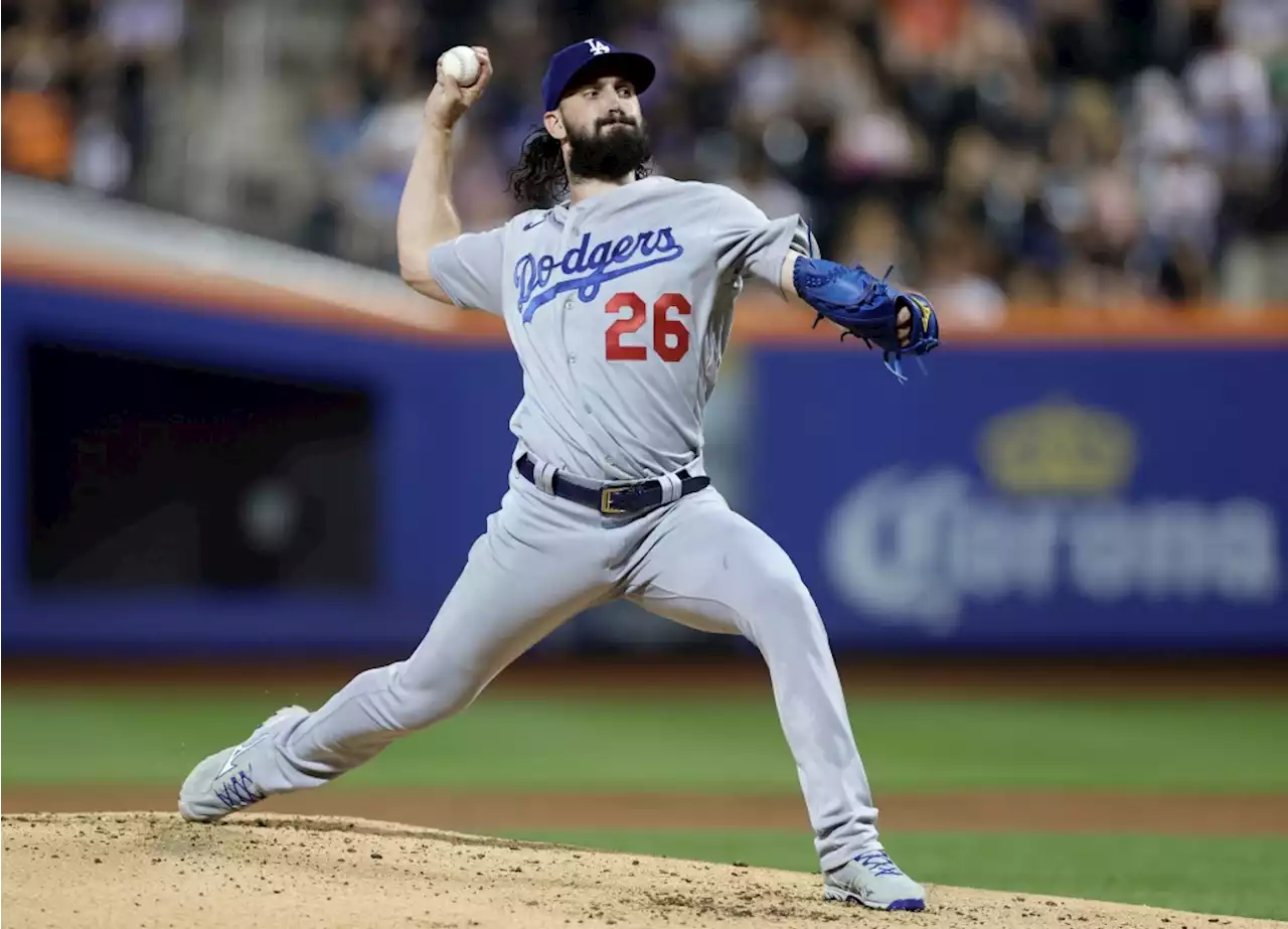 Dodgers take advantage of blundering Mets to win again