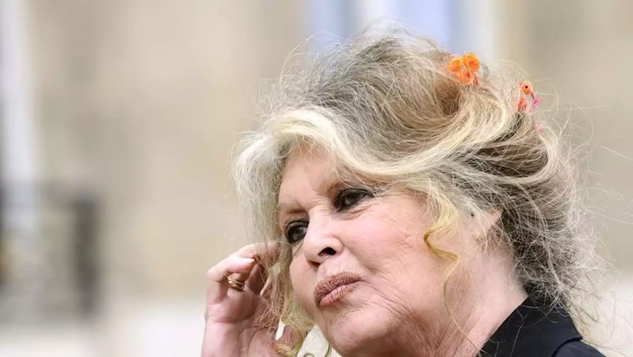 Mort de Jane Birkin : 'J'ai un gros chagrin'... L'émouvant hommage de Brigitte Bardot à la chanteuse