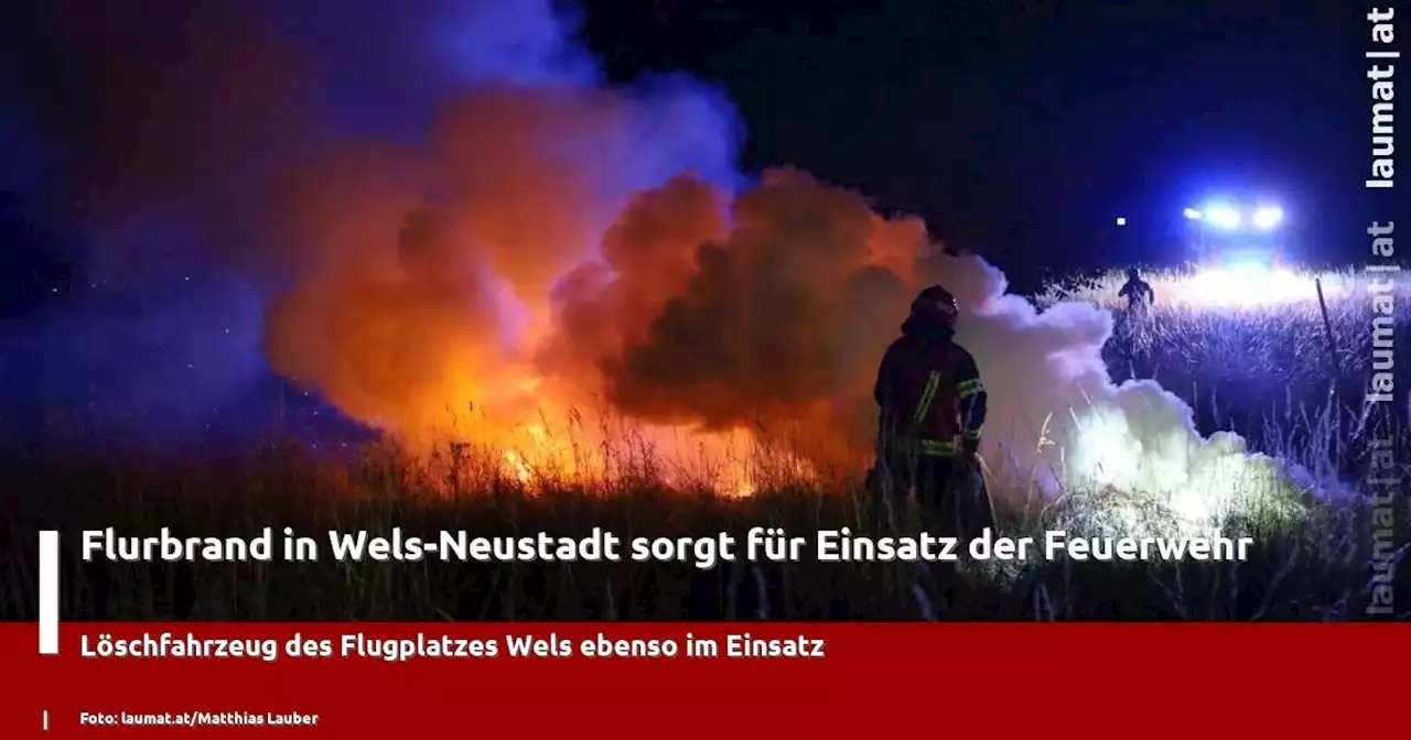 Flurbrand in Wels-Neustadt sorgt für Einsatz der Feuerwehr | laumat|at