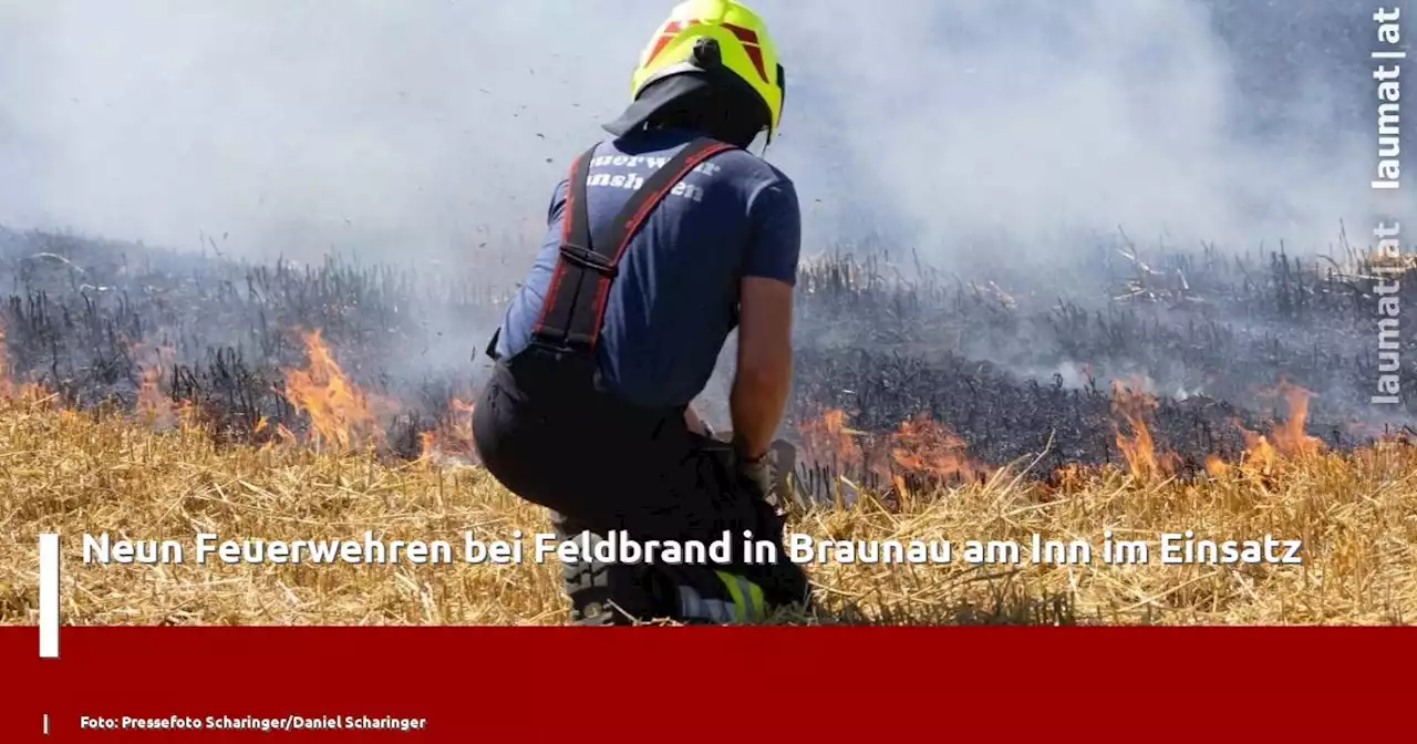 Neun Feuerwehren bei Feldbrand in Braunau am Inn im Einsatz | laumat|at