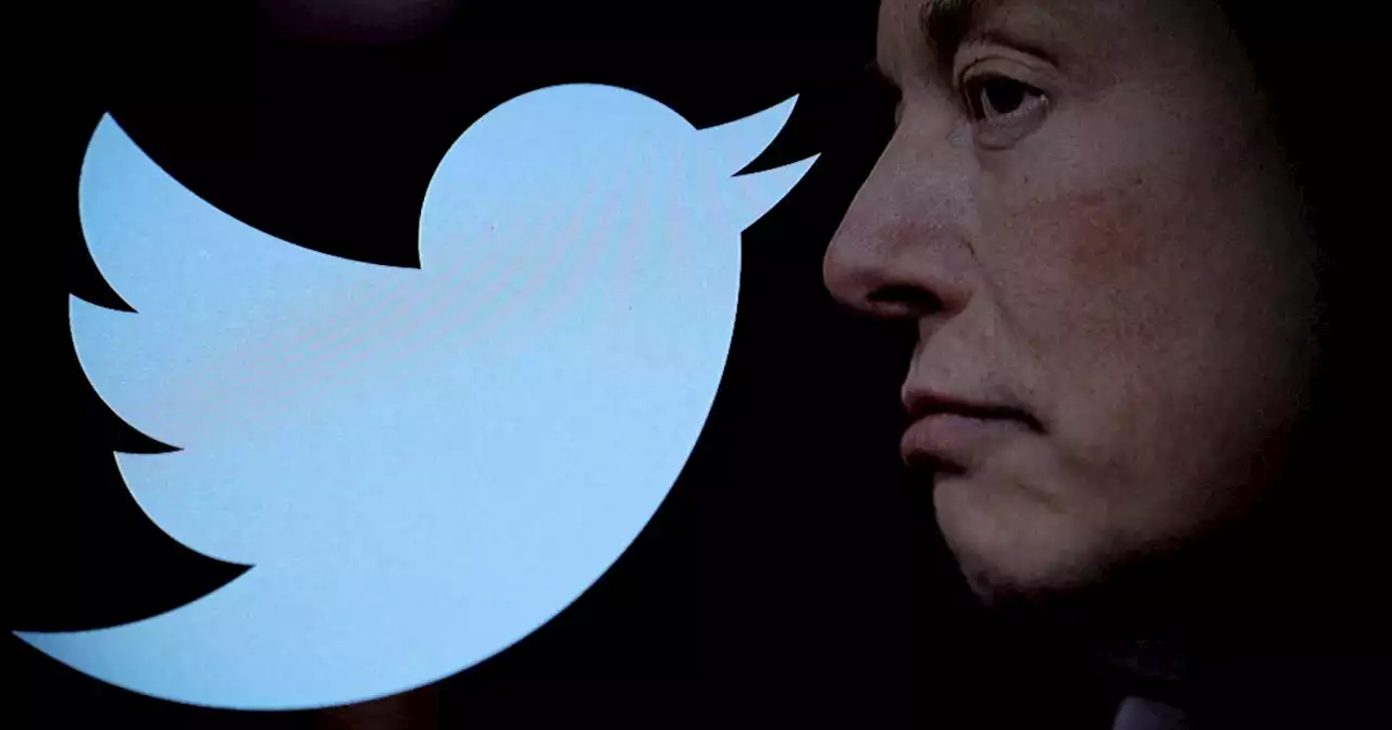 Depuis son rachat par Musk, Twitter a perdu environ la moitié de ses revenus publicitaires