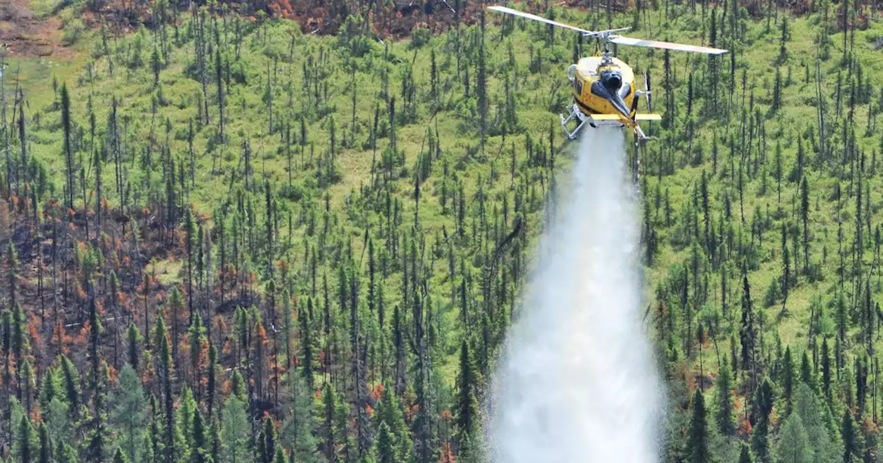 Plus 10 millions d'hectares partis en fumée au Canada