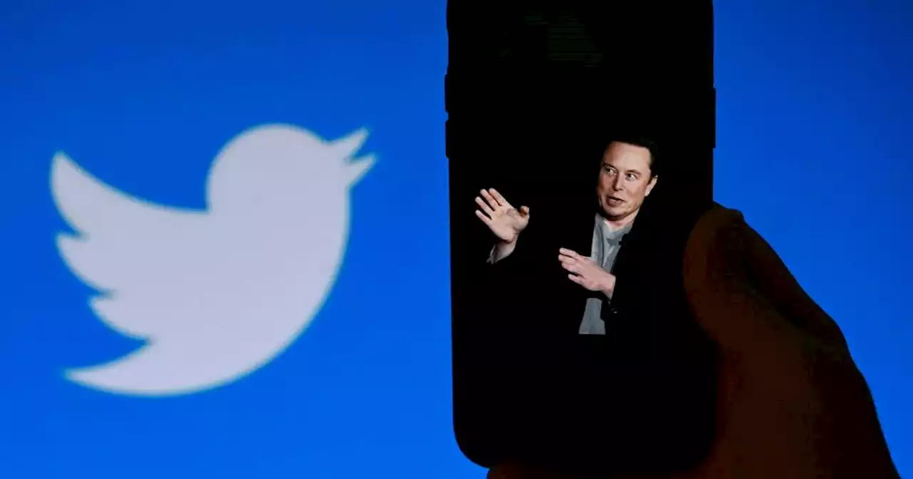 Sous Elon Musk, Twitter a perdu la moitié de ses revenus publicitaires