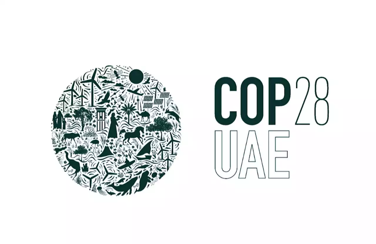 COP28 host UAE and India vow 'successful' climate summit