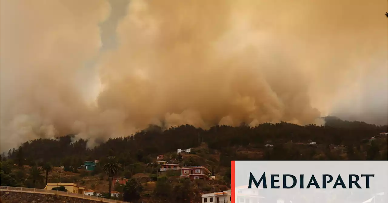 Aux Canaries, plus de 4 500 hectares de forêt ravagés par le feu