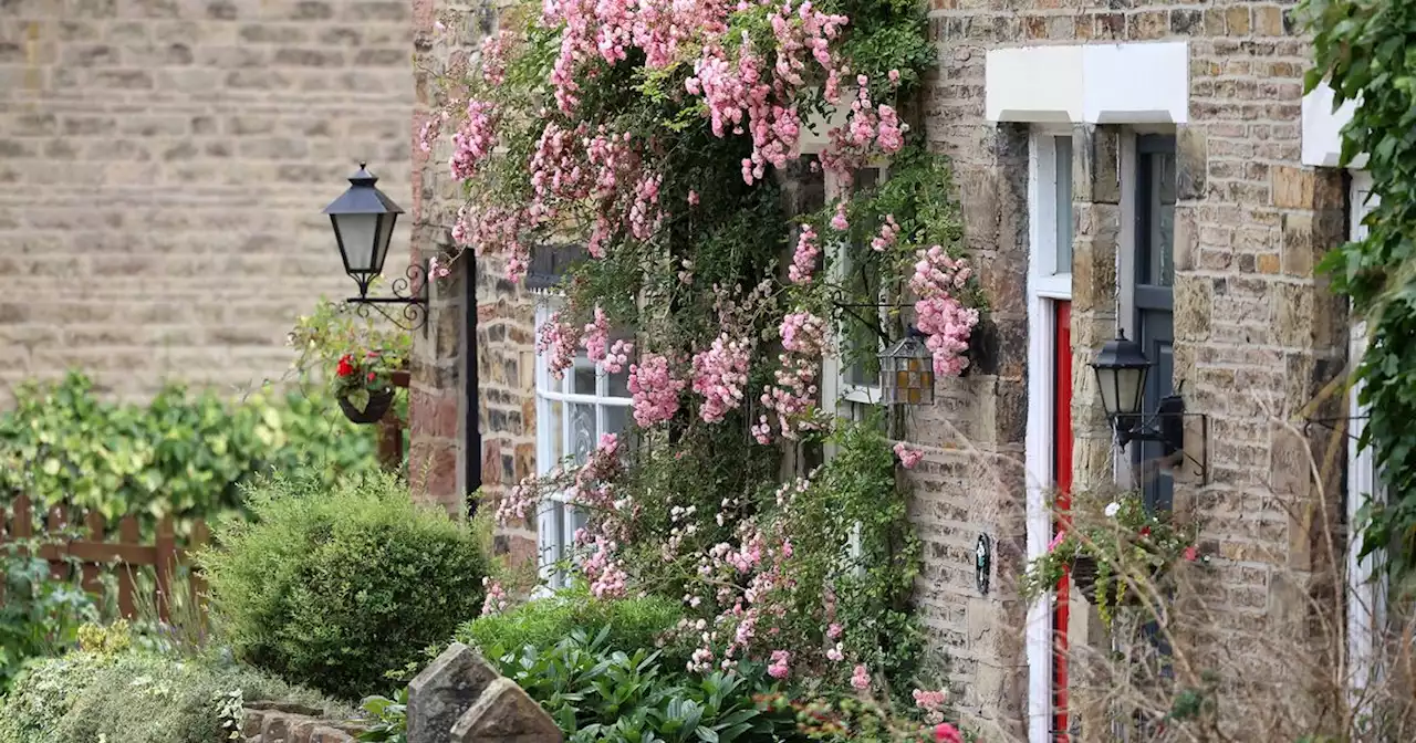 Cobbled lane of cottages is like another world - only minutes from city centre