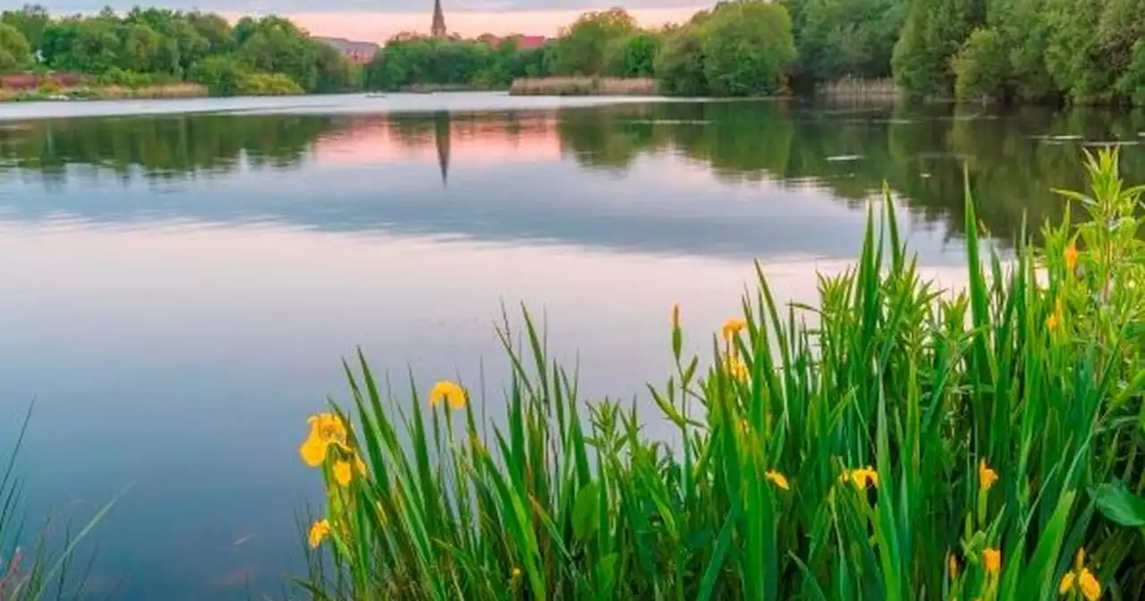 Woman assaulted as she walked through Salford country park