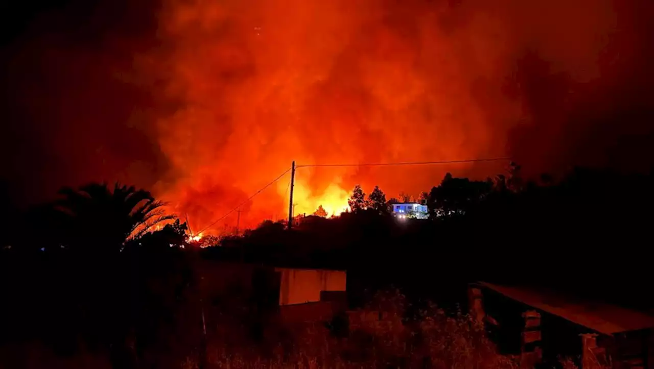 4 500 hectares brûlés, 12 maison détruites, plus de 2 500 évacuations : un terrible incendie ravage une île des Canaries