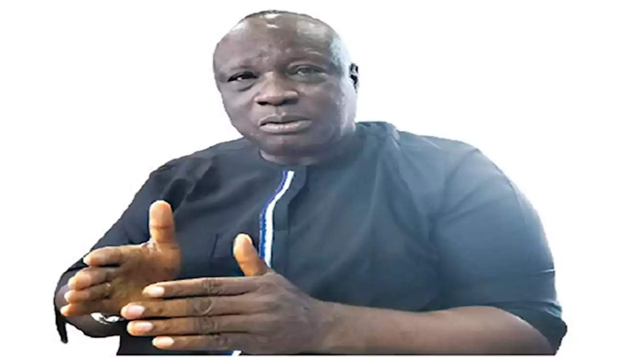 Govt should provide support services to businesses – Delog boss, Ogundimu - Punch Newspapers