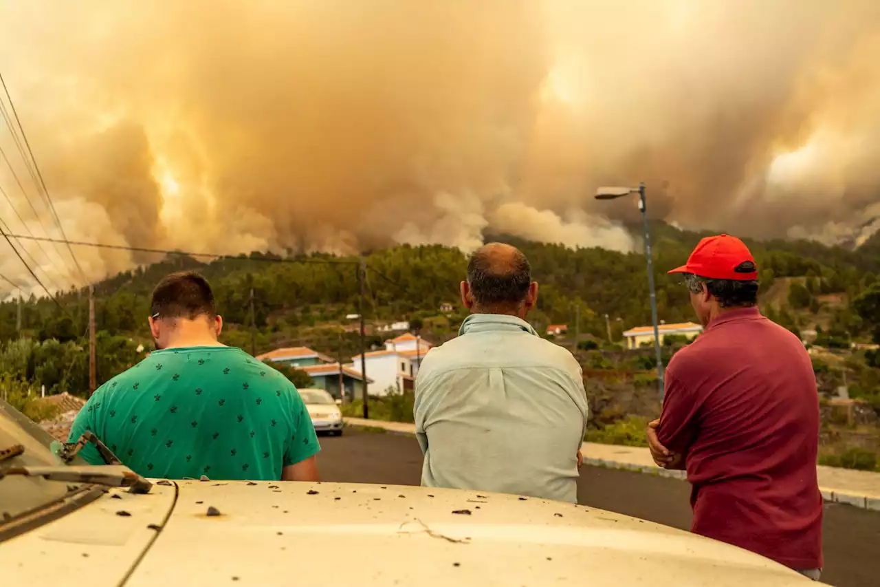 Thousands flee wildfires on Canary Islands