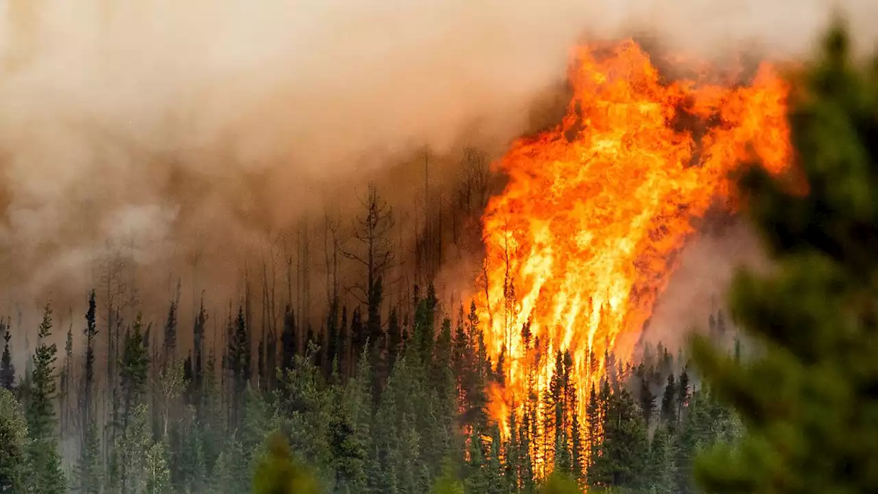 So viel Wald brannte noch nie in Kanada