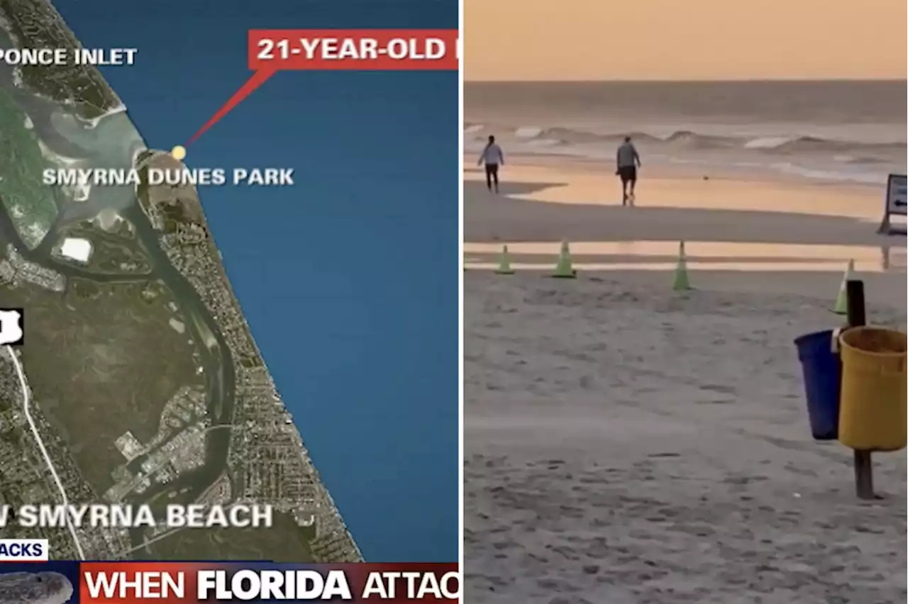 Man, 21, attacked by shark at Florida beach