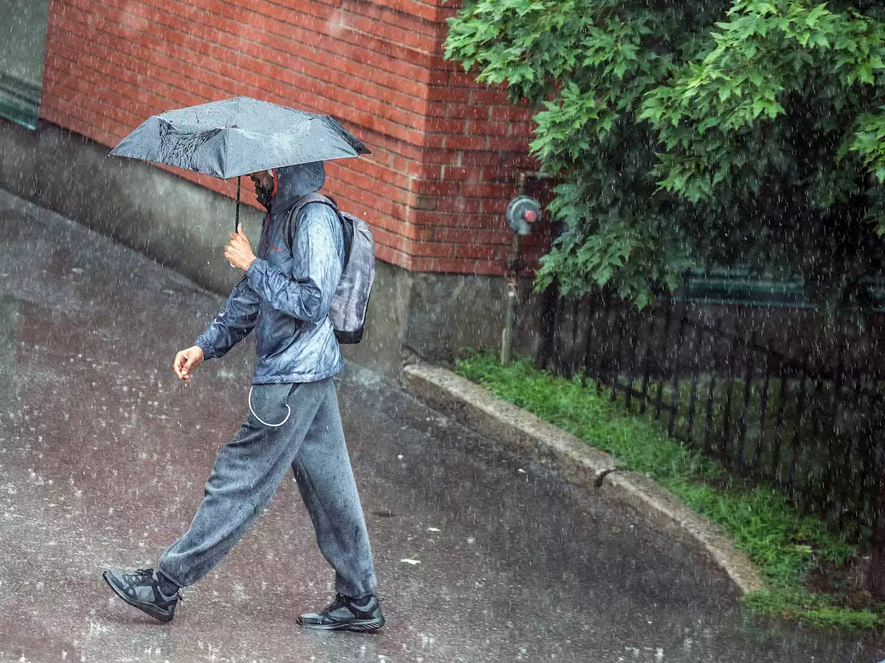 FORECAST: Showers, heavy at times, thunderstorms possible for today; E. coli counts close city beaches