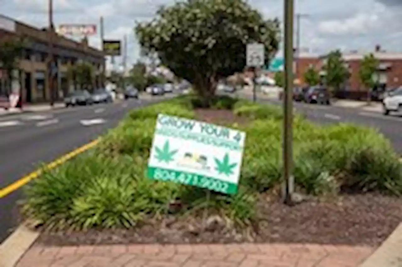 Weed sales legal in Md., but not Va. Youngkin’s ‘not interested’ in change.