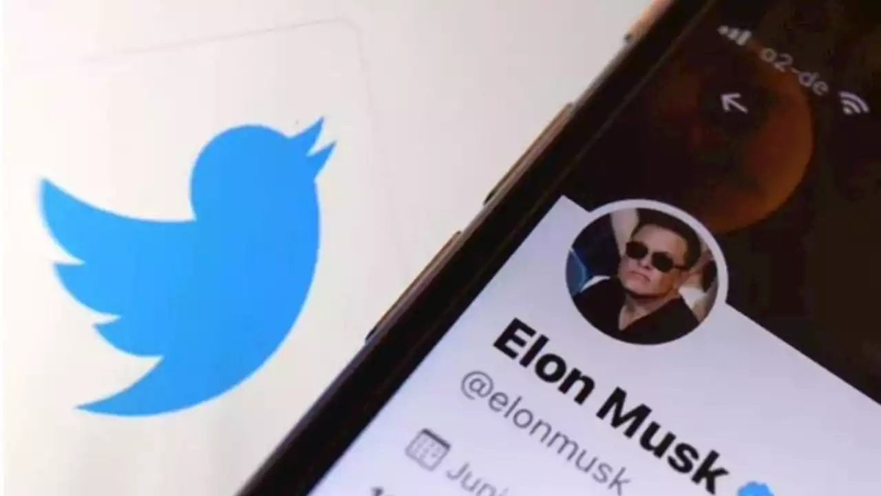 Musk afirma que Twitter pierde dinero por reducción de publicidad