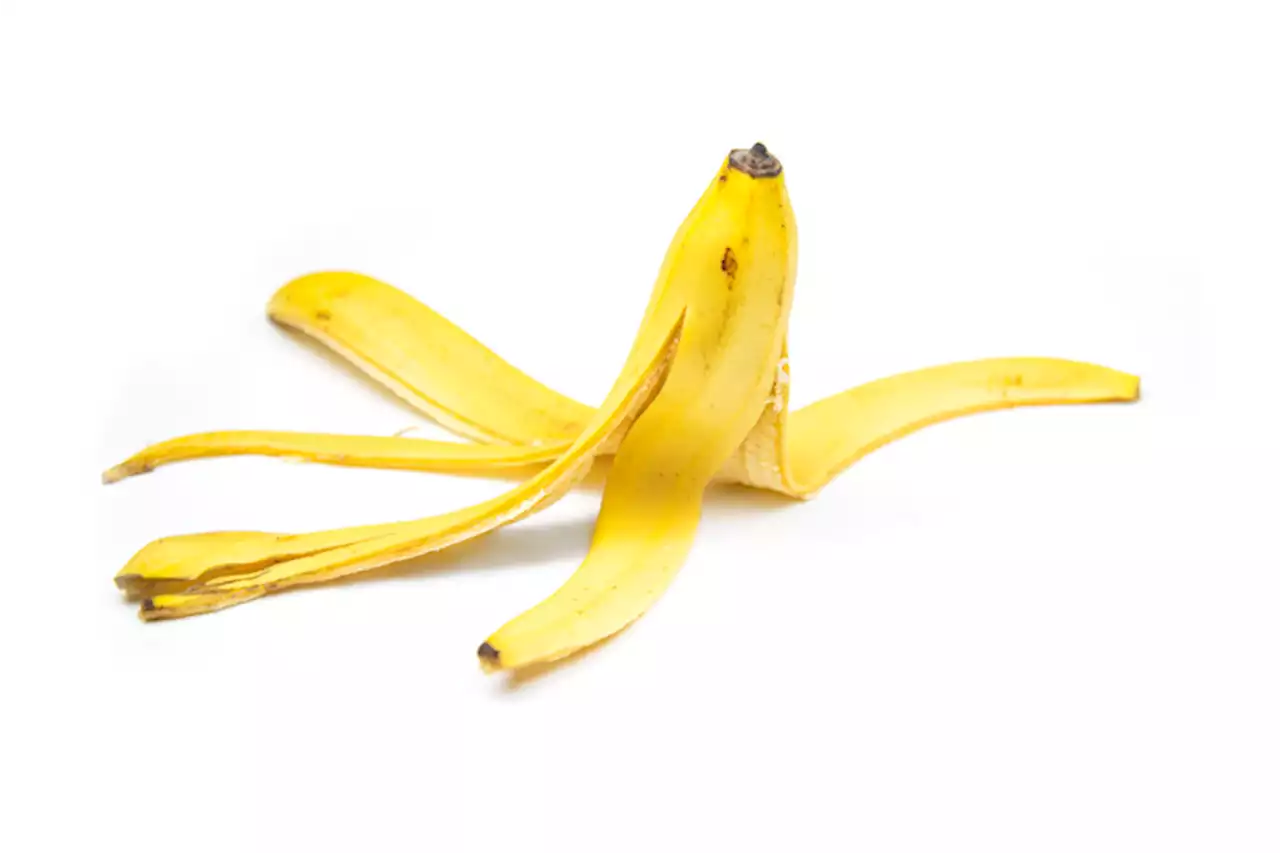 Cáscara de banano: no la bote sin conocer todos sus beneficios; hasta limpiar zapatos - Pulzo