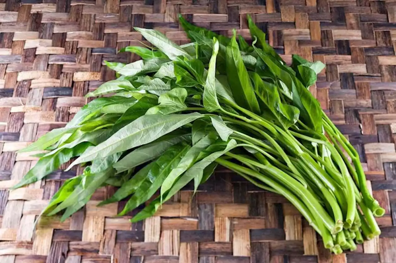 Apakah Kangkung Menyebabkan Asam Urat? Simak Penjelasannya di Sini