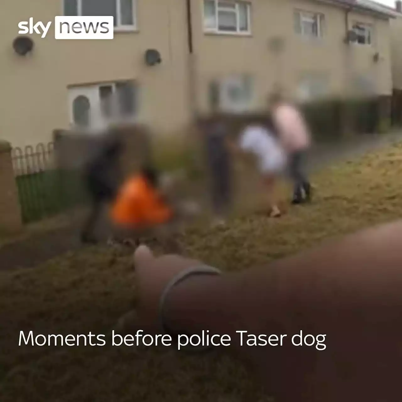 Police release bodycam footage after dog tasered and put into wheelie bin