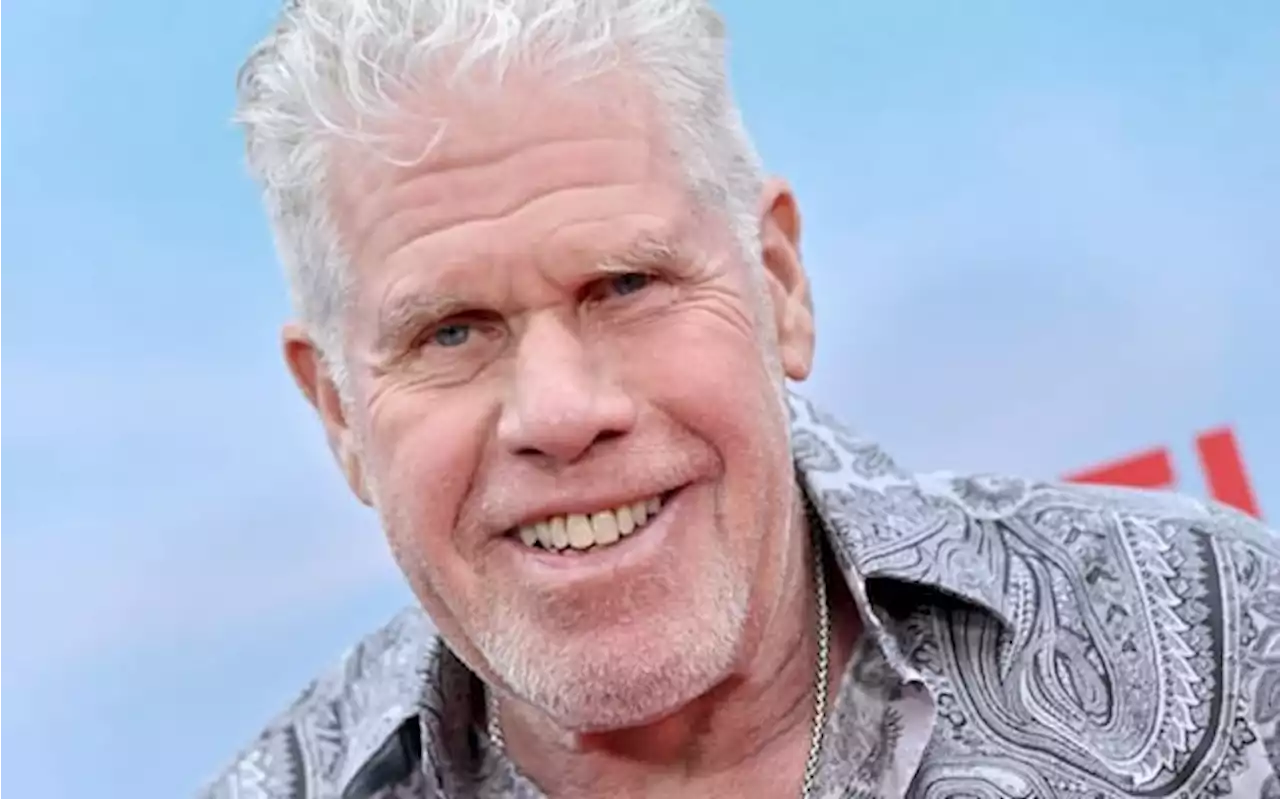 Sciopero attori, Ron Perlman: 'Non voglio che nessuno si faccia male'