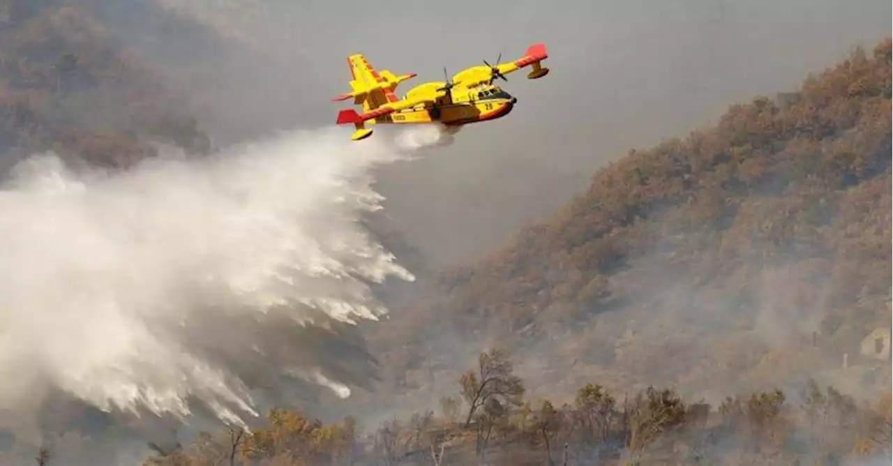 Caldo oltre i 40 gradi: 15 città da bollino rosso. Emergenza incendi: ecco le regioni più colpite