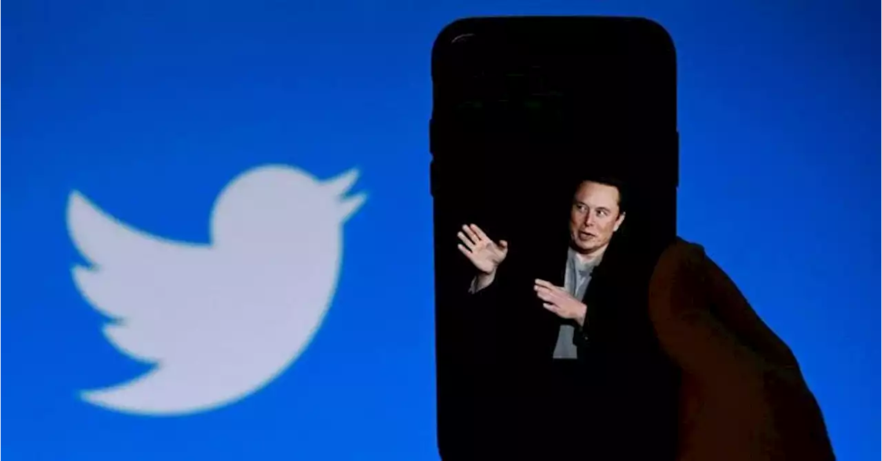 Musk: «Twitter a corto di fondi, pubblicità in calo del 50%»