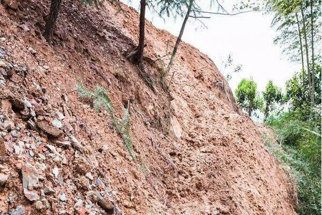 Empat Orang Meninggal karena Tanah Longsor di Banggai Laut Sulawesi Tengah