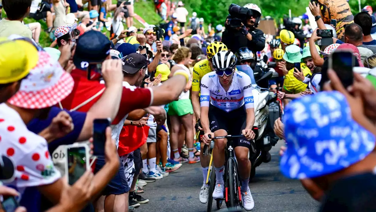 Tour de France: Ein Kaninchen dank Tadej - Pogačar erfüllt Mädchens Haustierwunsch