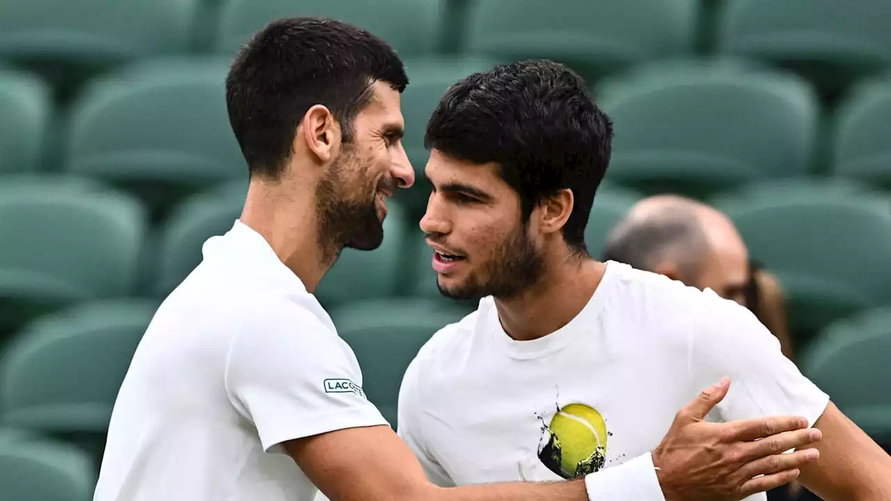 Novak Djokovic gegen Carlos Alcaraz in Wimbledon: High auf Gras