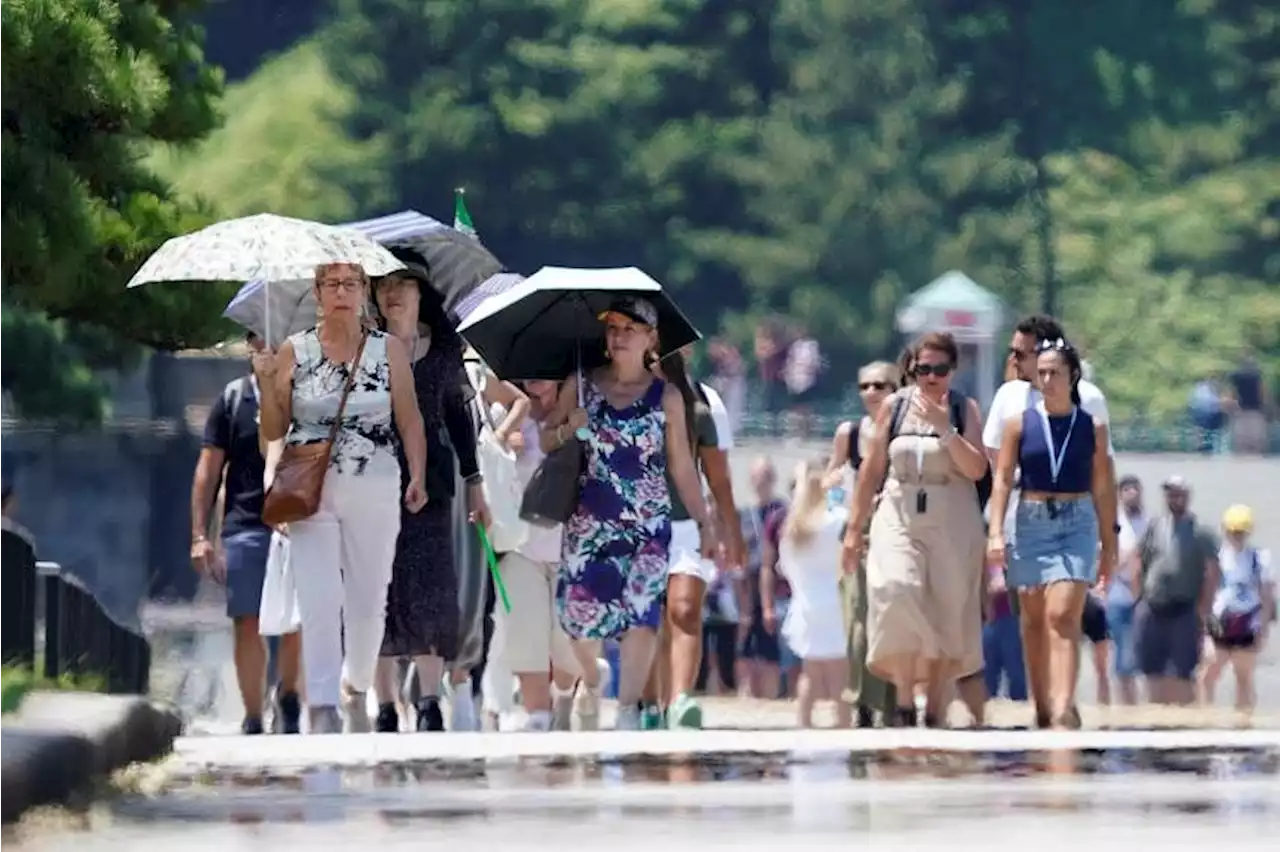 Japan issues heatstroke alerts as temperatures soar; torrential rain pummels other regions