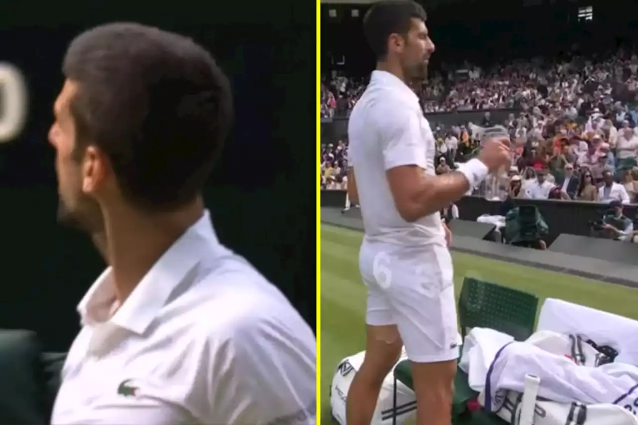 Djokovic vents frustration as time violation gets huge roar from Wimbledon crowd