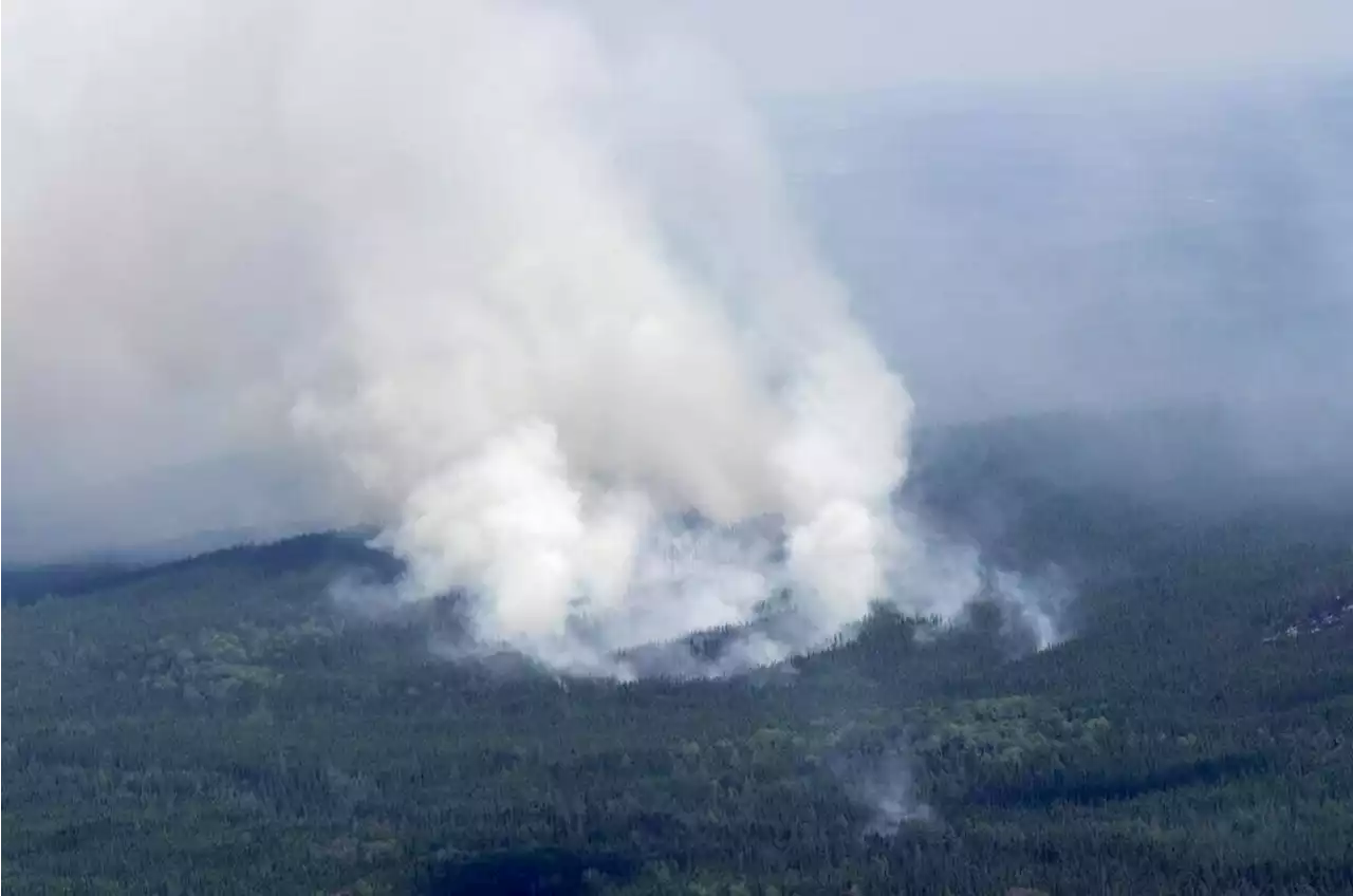 Canadian Rangers to help evacuate Quebec Cree communities threatened by wildfires - Terrace Standard