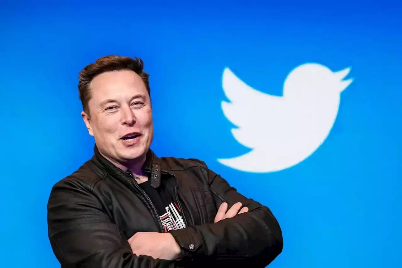 Twitter blues: Musk tweets platform lost half of its advertising revenue | The Citizen