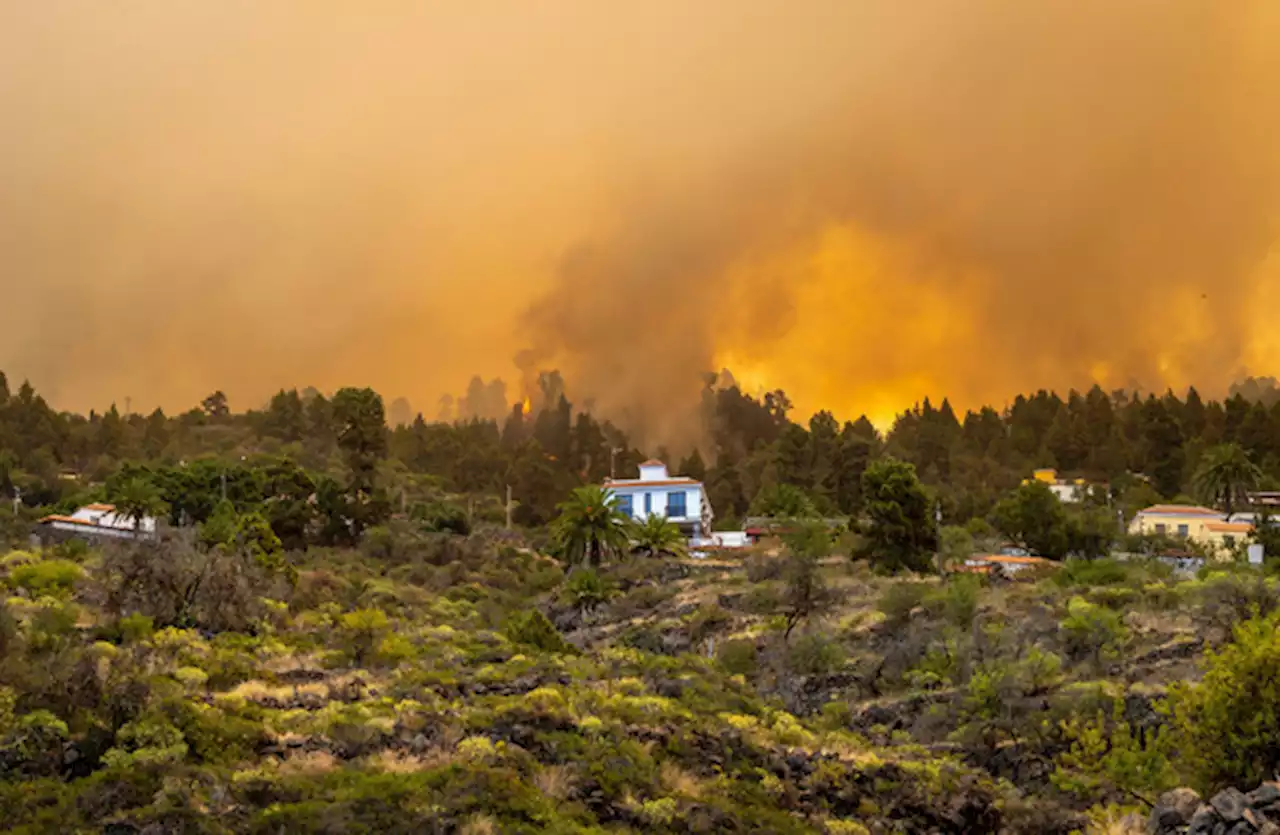 Thousands evacuated as wildfire rages on La Palma in Canary Islands