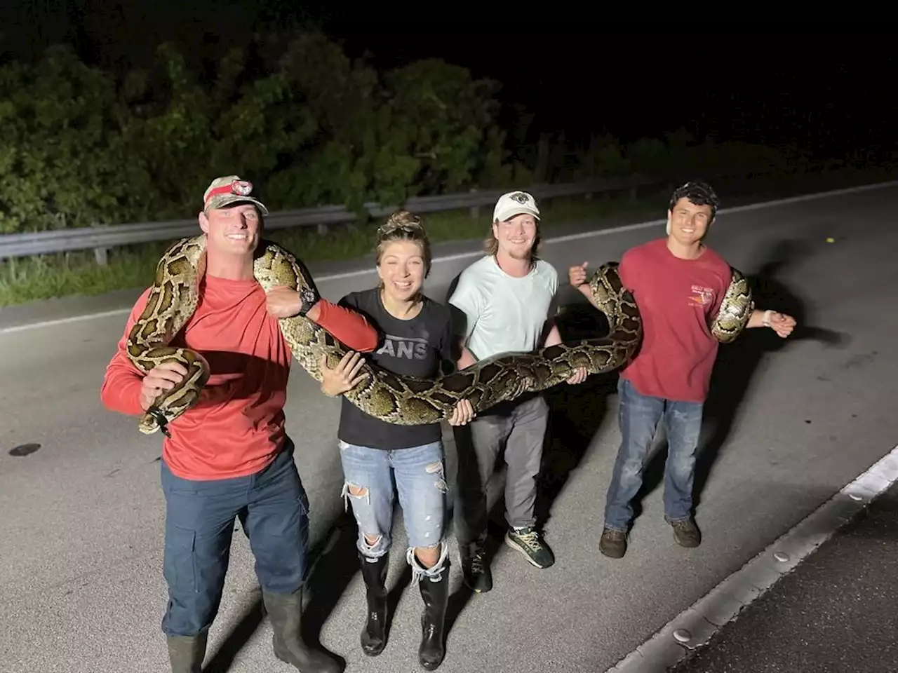 College student catches record-breaking 19-foot python in Florida swamp