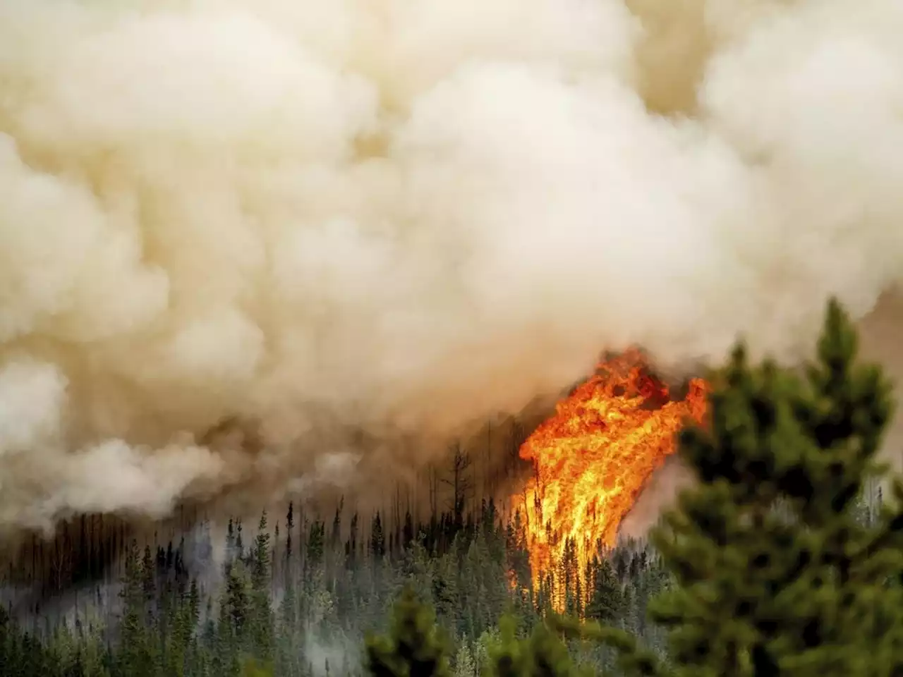 Canada sees 100,000 square kilometres burned in record-breaking wildfire season